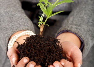 Event Planning and Coordination