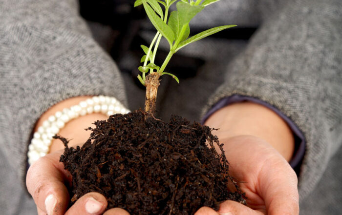 Financial Best Practices for Churches